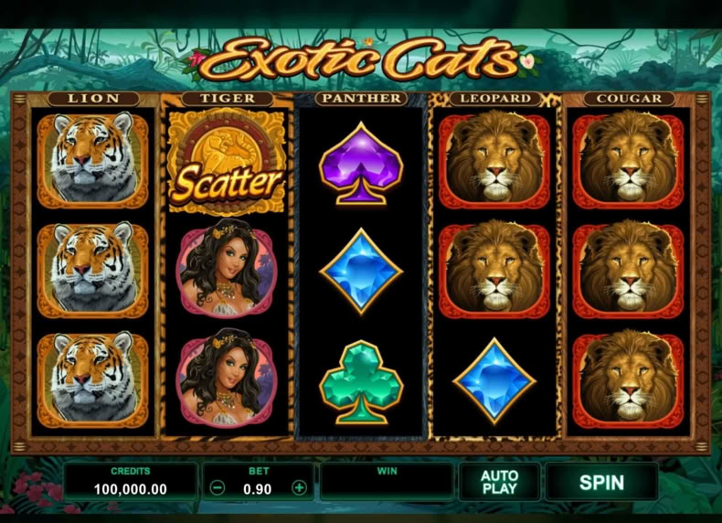 Exotic Cats game - play for free
