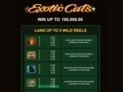 Exotic Cats