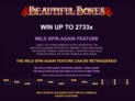 Beautiful Bones