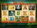 Wild Orient