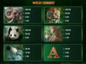 Wild Orient