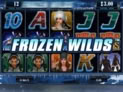 Girls with Guns II Frozen Dawn