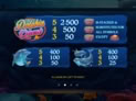 Dolphin Quest