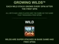 Wild Catch