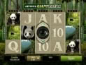 Untamed Giant Panda