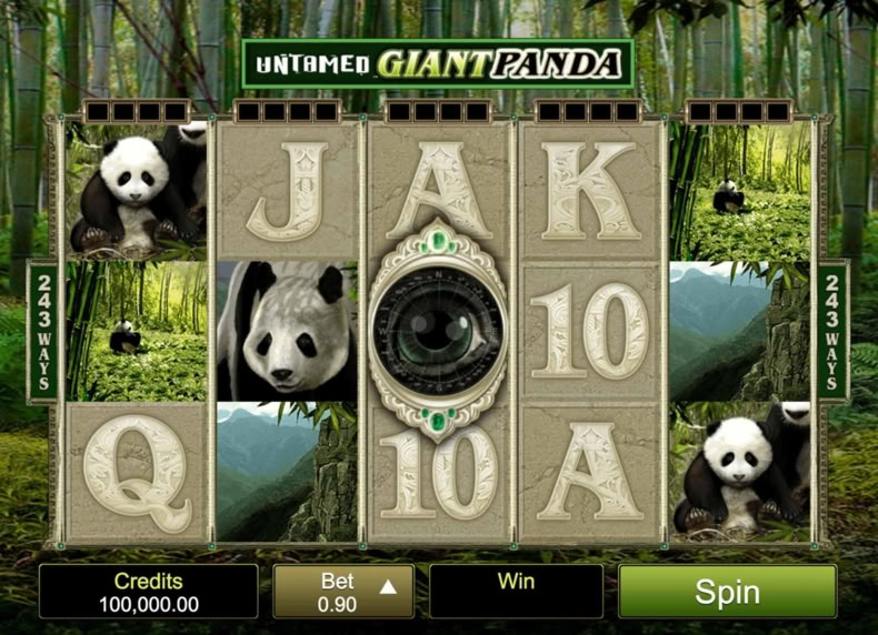 Untamed Giant Panda game - play for free