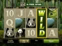Untamed Giant Panda
