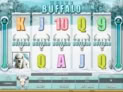 White Buffalo