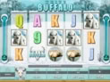 White Buffalo