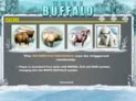 White Buffalo