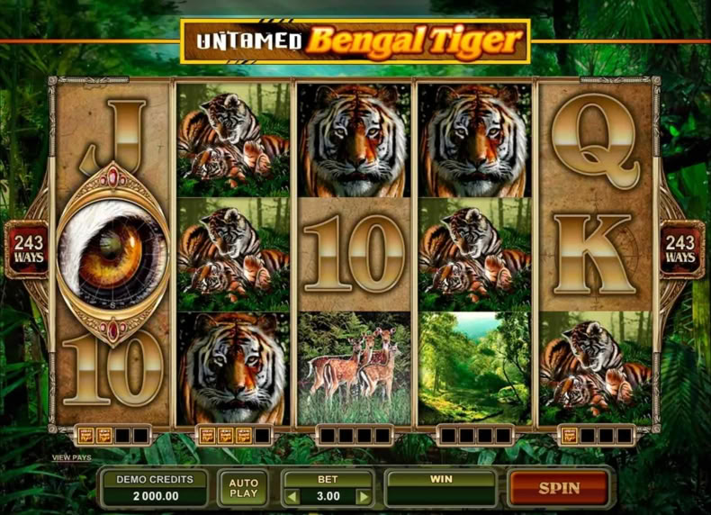 Untamed Bengal Tiger game - play for free