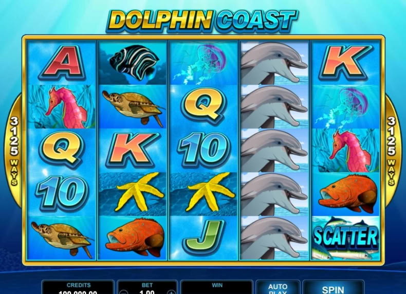 Dolphin Coast game - play for free