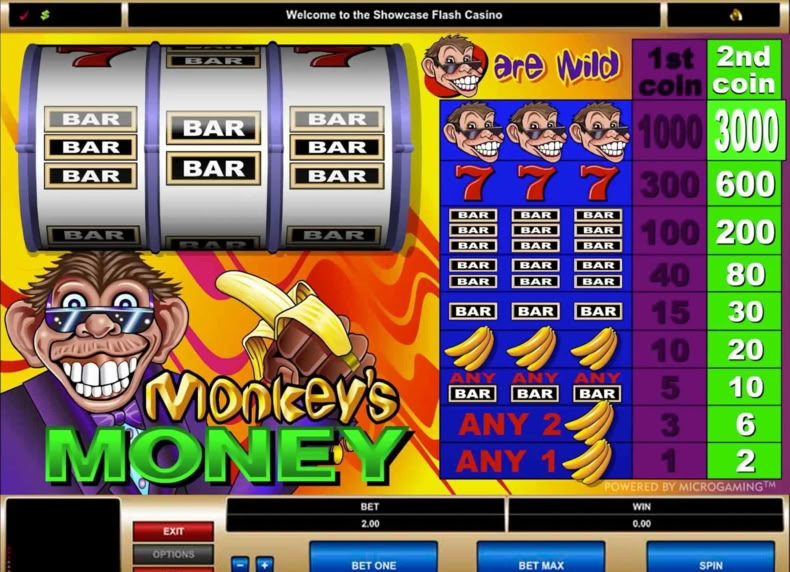Monkey's Money game - play for free