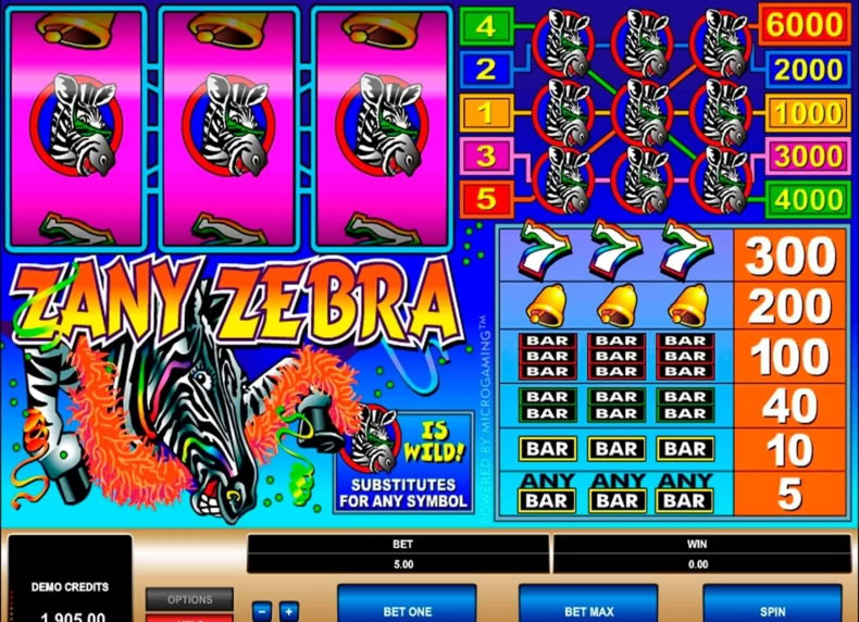 Zany Zebra game - play for free