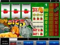 Big 5
