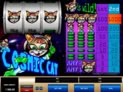 Cosmic Cat