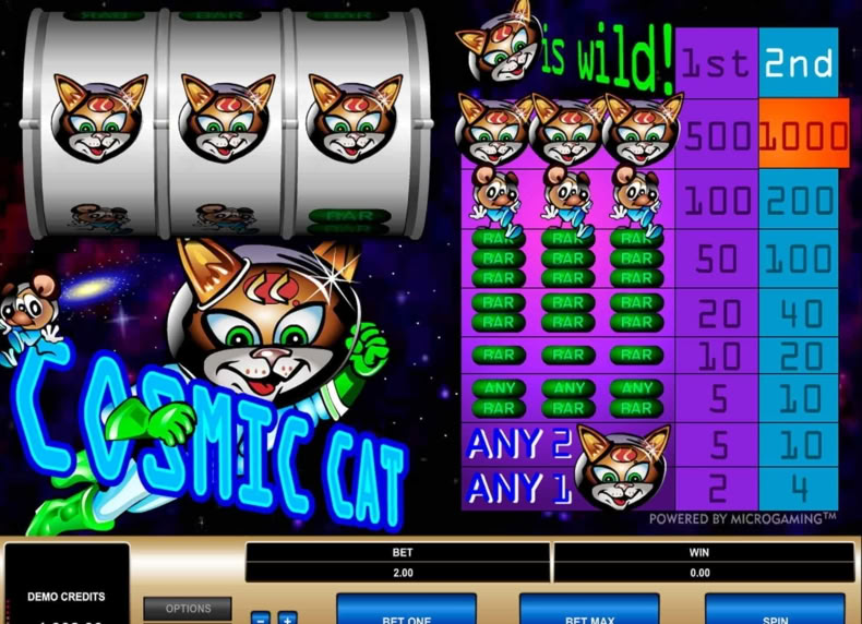 Cosmic Cat game - play for free