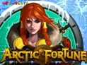Arctic Fortune