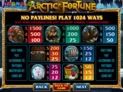 Arctic Fortune