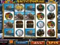 Arctic Fortune