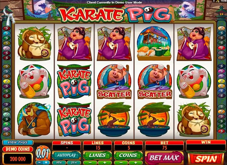 Karate Pig game - play for free