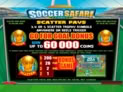 Soccer Safari