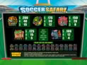 Soccer Safari