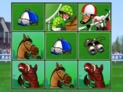 Sure Win Scratch