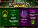 Enchanted Woods