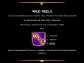 Age of Conquest