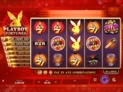 Playboy Fortunes