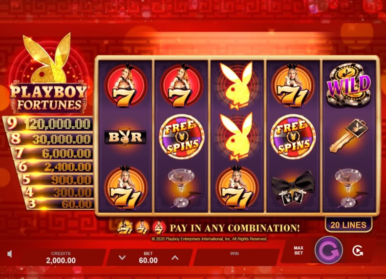 Playboy Fortunes game - play for free