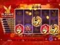 Playboy Fortunes