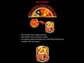 777 Royal Wheel