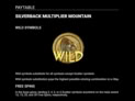 Silverback Multiplier Mountain