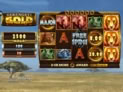 Serengeti Gold