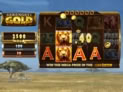 Serengeti Gold