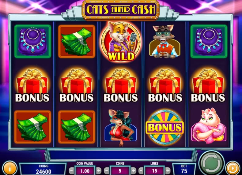 Cats and Cash game - play for free