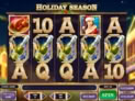 Holiday Season