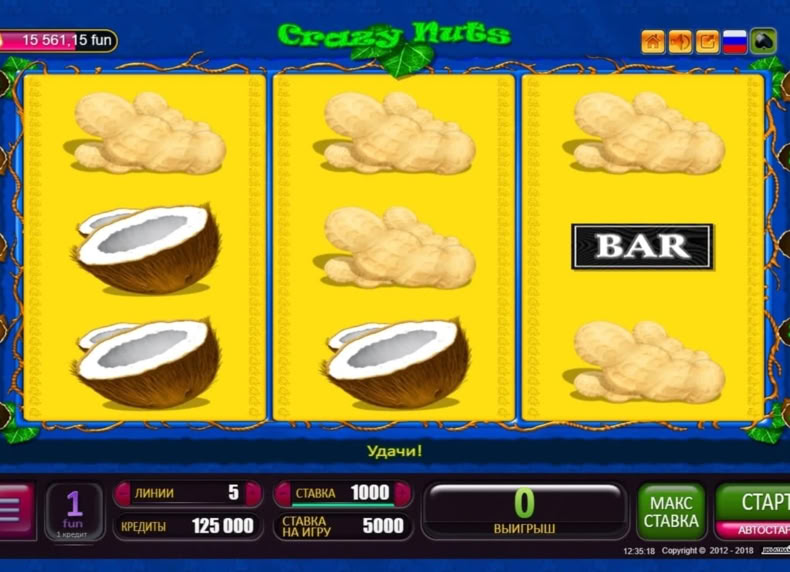 Crazy Nuts game - play for free