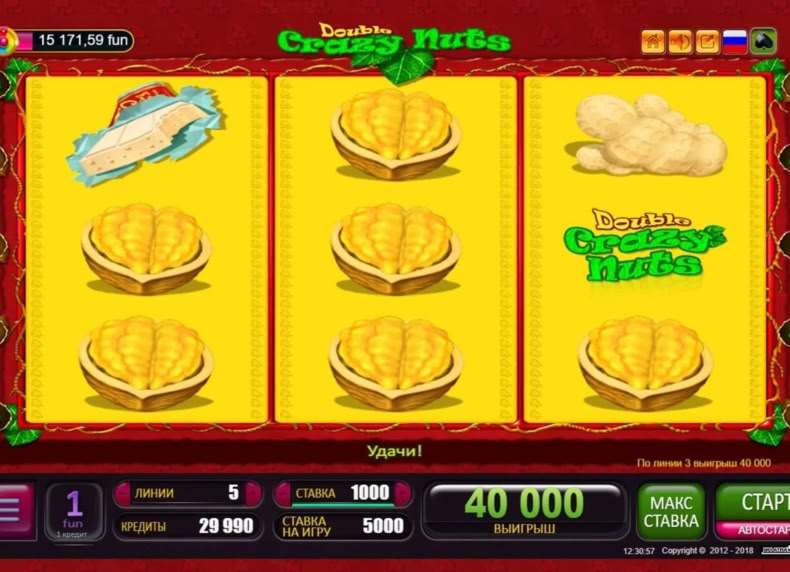 Double Crazy Nuts game - play for free