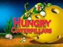 Hungry Caterpillars