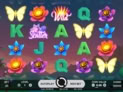 Butterfly Staxx