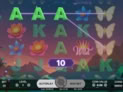 Butterfly Staxx