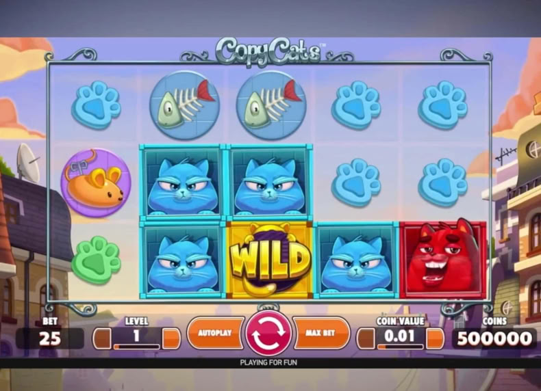 Copy Cats game - play for free