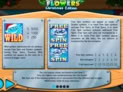 Flowers Christmas