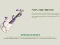 Jimi Hendrix