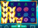 Butterfly Staxx 2