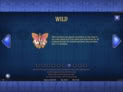 Codex of Fortune