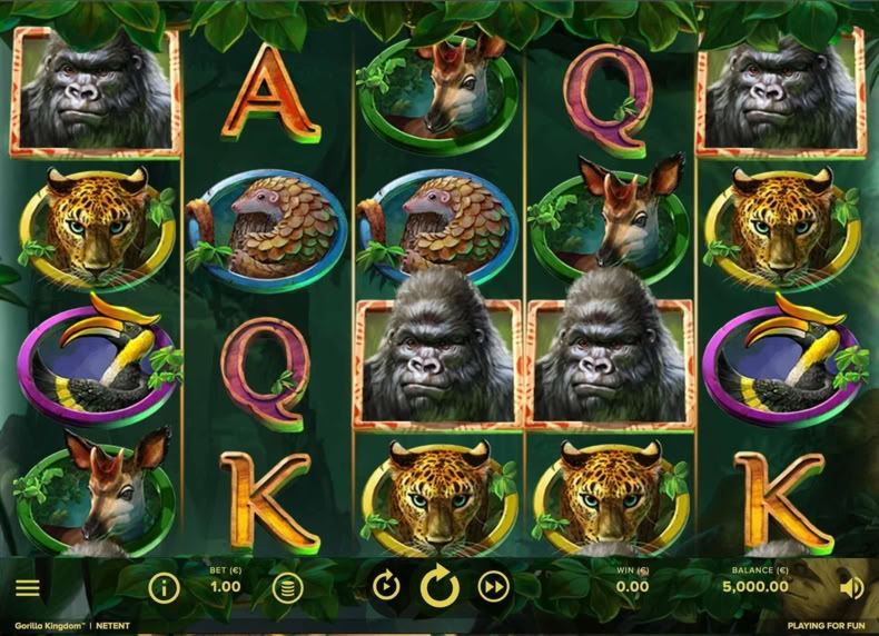Gorilla Kingdom game - play for free